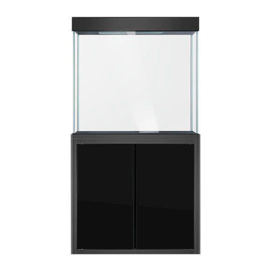 100 Gallon Aquarium - Black