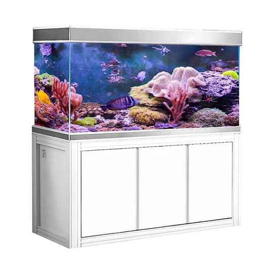 145 Gallon Aquarium - White & Silver