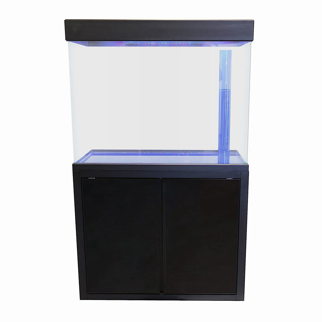 50 Gallon Aquarium - Black